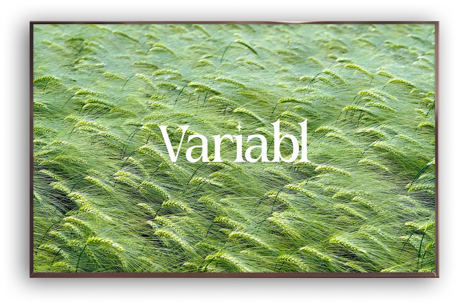 Slide 1